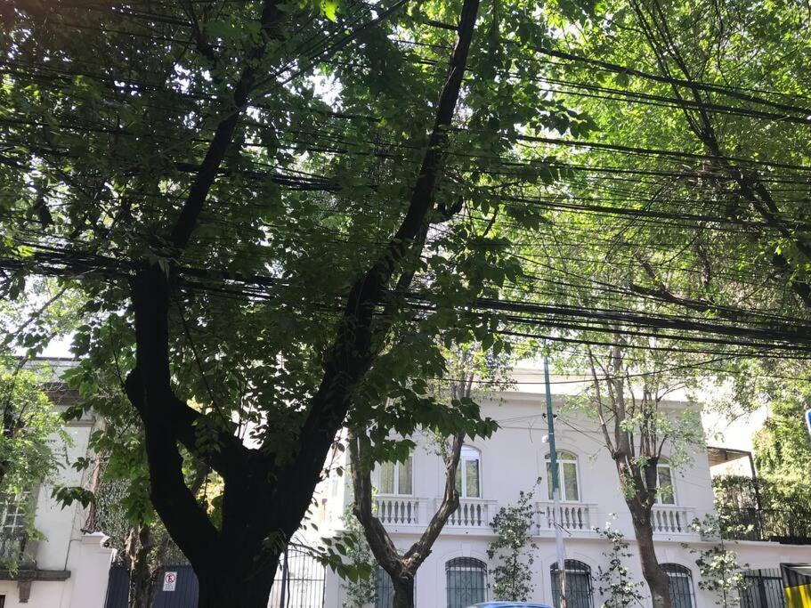 墨西哥城Excellent Location Renovated Apt. Roma/Condesa 1公寓 外观 照片